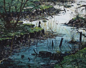 Project 'Dromen van Dordrecht' | Biesbosch 1