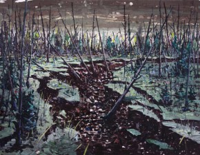 Sinkhole 6 (Swallowed up)