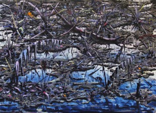 Trans Niger pipeline 9