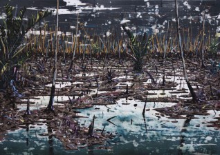 Trans Niger pipeline 15