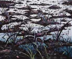 Trans Niger pipeline 16