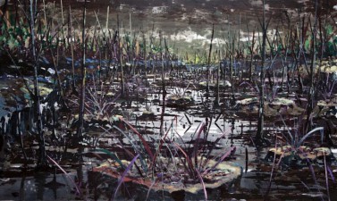 Trans Niger pipeline 17