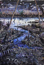 Trans Niger pipeline 10