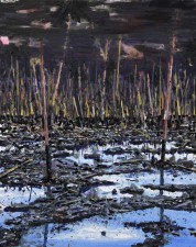 Trans Niger pipeline