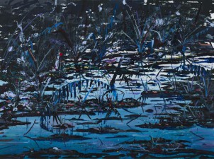 Trans Niger pipeline 6