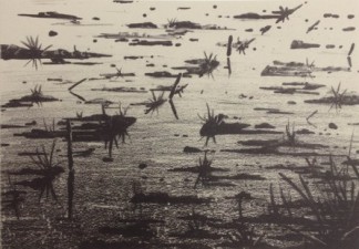 Project | Nieuwjaarsprent