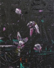 Endangered flower (Pink orchid 2)